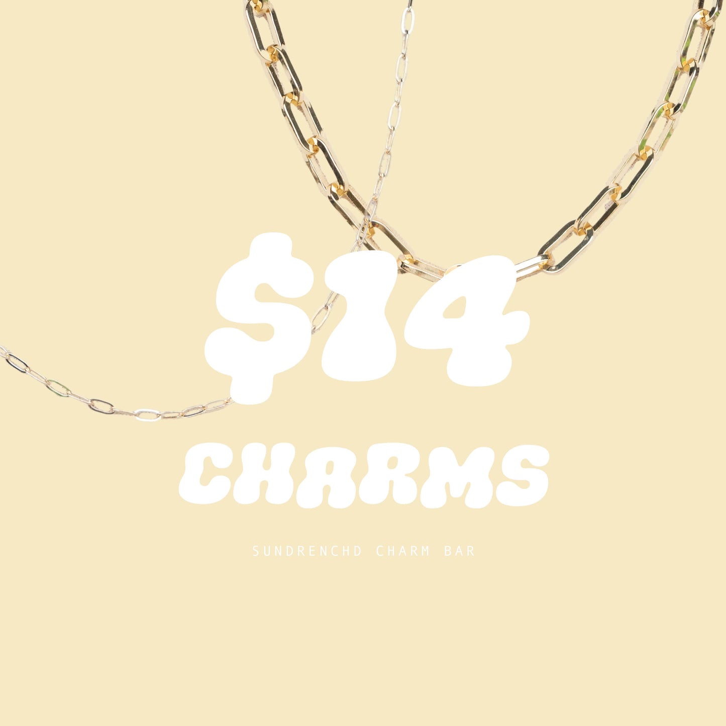 $14 Charm Bar Charms